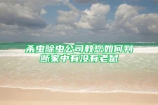 杀虫除虫公司教您如何判断家中有没有老鼠