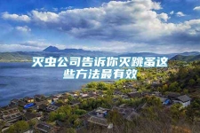 灭虫公司告诉你灭跳蚤这些方法最有效