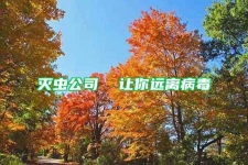 灭虫公司  让你远离病毒