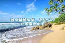 破坏基础设施，杀虫公司必须果断出手