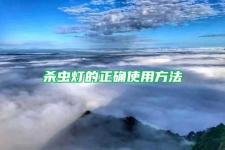 杀虫灯的正确使用方法