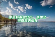 哪里有杀虫公司，杀虫公司夏日灭虫忙