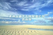 美洲大蠊怎么除除虫公司告诉你