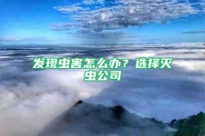 发现虫害怎么办？选择灭虫公司