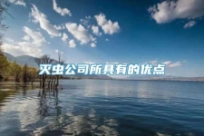 灭虫公司所具有的优点