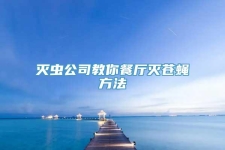 灭虫公司教你餐厅灭苍蝇方法