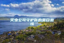 灭虫公司守护你的夏日激情