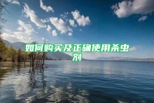 如何购买及正确使用杀虫剂