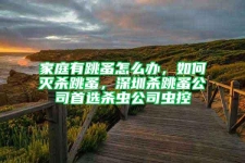 家庭有跳蚤怎么办，如何灭杀跳蚤，深圳杀跳蚤公司首选杀虫公司虫控