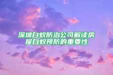 深圳白蚁防治公司解读房屋白蚁预防的重要性